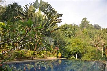 Hotel Tiger Rock Pangkor Island Exteriér fotografie